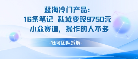 蓝海项目：16条笔记私域变现9750米小众赛道操作的人不多-柯南聊项目