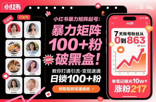 小红书暴力矩阵起号，教你打通引流-变现速通，日锁100+粉，破流量黑盒-柯南聊项目