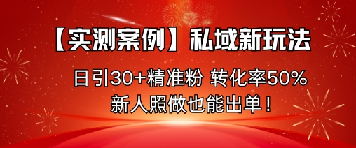 【实测案例】私域新玩法，日引30+精准粉，转化率50%，新人照做也能出单！-柯南聊项目