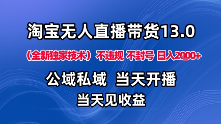 淘宝无人直播13.0，公域私域技术，不封号，不违规布局下半年旺季赛道，日入1K+(独家技术)【揭秘】-柯南聊项目