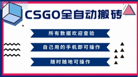 CSGO全自动搬砖，年底钱回家好项目，当天可拿到结果，新手小白轻松月入1W+【揭秘】-柯南聊项目