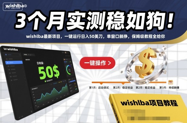3个月实测稳如狗！wishlba最新项目，一键运行日入50美刀，单窗口躺挣，保姆级教程全给你【揭秘】-柯南聊项目