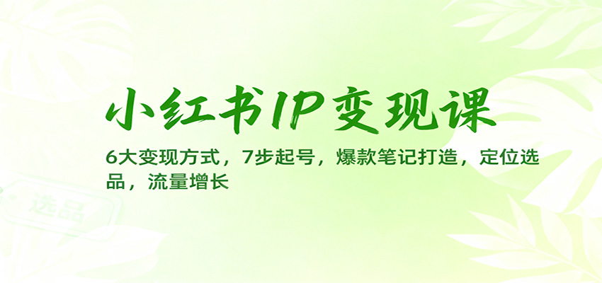 小红书IP变现课：6大变现方式，7步起号，爆款笔记打造，定位选品，流量增长-柯南聊项目