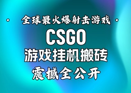 【年底大揭秘】基于全球最火爆的射击CSGO游戏挂G搬砖，日入5张+，震撼公开-柯南聊项目
