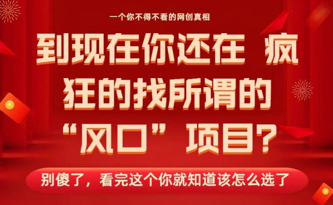 马上26年了，你还在找所谓的风口项目？别傻了，看完这个你全都懂了！【揭秘】-柯南聊项目