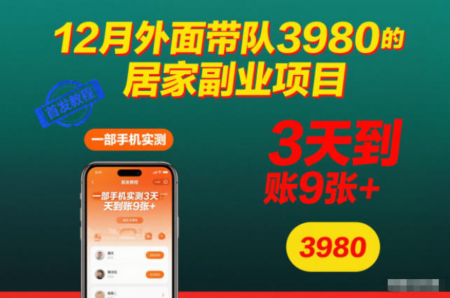 12月外面带队3980的居家副业项目，一部手机实测3天到账9张+，首发教程【揭秘】-柯南聊项目