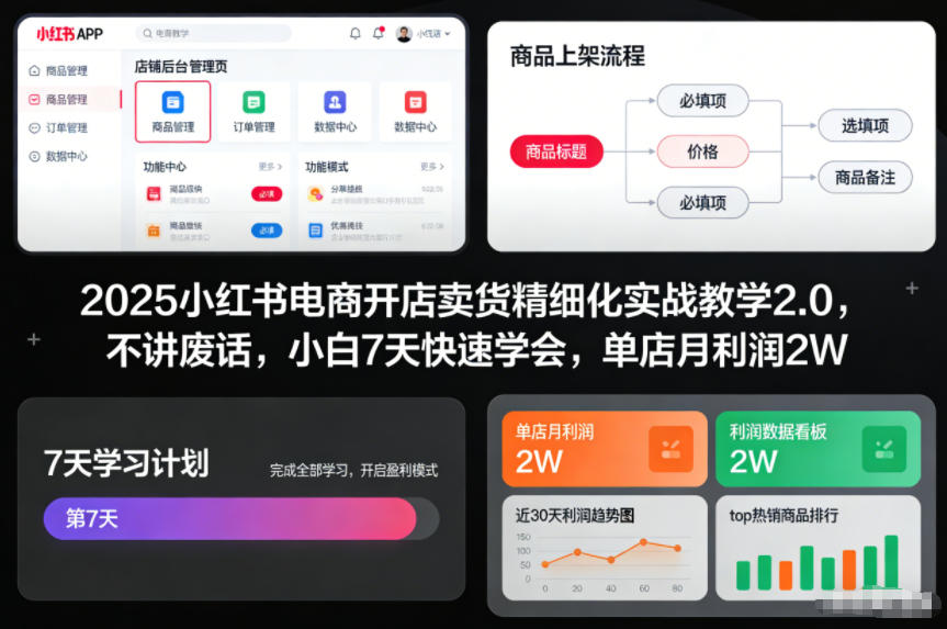 2025小红书电商开店卖货精细化实战教学2.0，不讲废话，小白7天快速学会，单店月利润2W-柯南聊项目