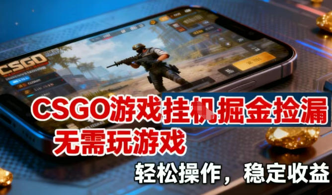 CSGO游戏挂G掘金捡漏，不需要玩游戏，操作简单，收益稳定【揭秘】-柯南聊项目