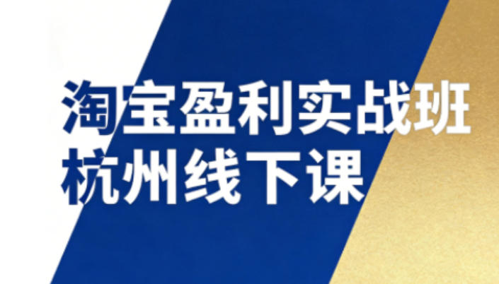 淘宝盈利实战班杭州线下课12月26-28日(音频+字幕)，帮你掌握SOP流程+12门核心技术-柯南聊项目