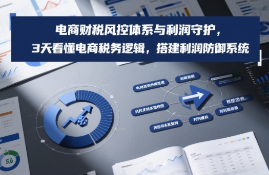 电商财税风控体系与利润守护，3天看懂电商税务逻辑，搭建利润防御系统-柯南聊项目