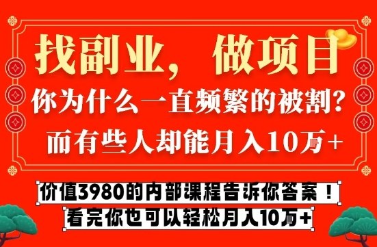 价值3980的网创内部课程，告诉你互联网创业月入10个W的秘密【揭秘】-柯南聊项目
