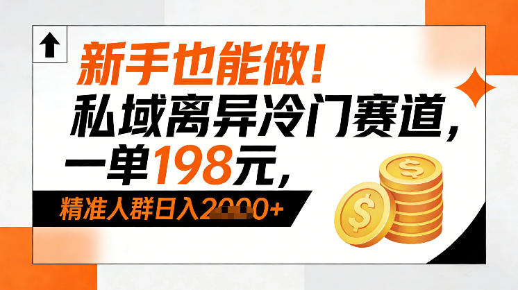 新手也能做！私域离异冷门赛道，一单198，精准人群日入1k+-柯南聊项目