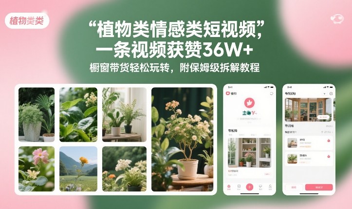 植物类情感类短视频，一条视频获赞36W+，橱窗带货轻松玩转，附保姆级拆解教程-柯南聊项目