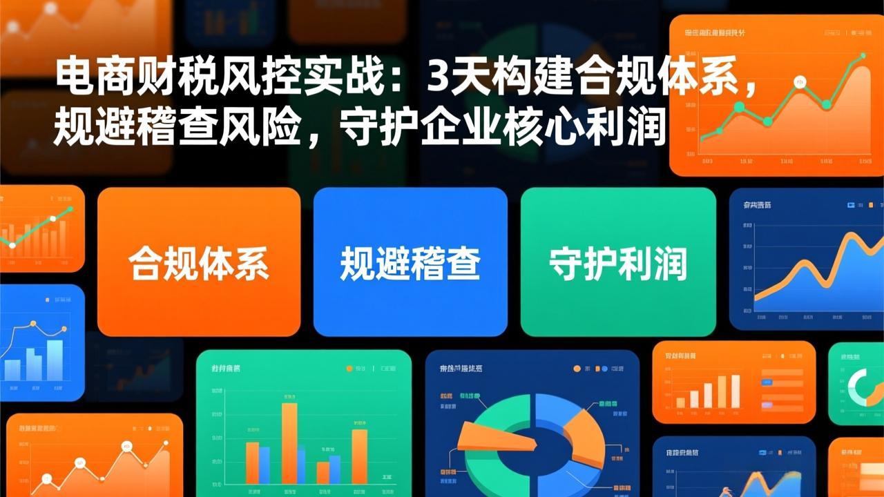 电商财税风控实战：3天构建合规体系，规避稽查风险，守护企业核心利润-柯南聊项目