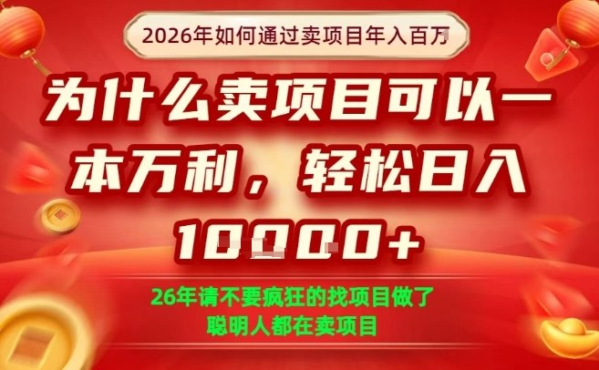 一单净利润1K+，26年想年入100个W，死磕卖项目就够了【揭秘】-柯南聊项目