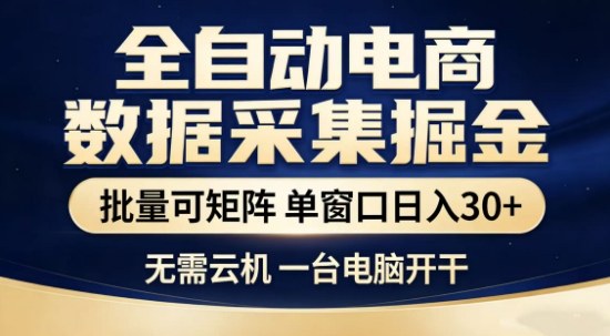 独家电商数据全自动采集项目，批量可矩阵，单窗口轻松日入3张+【揭秘】-柯南聊项目