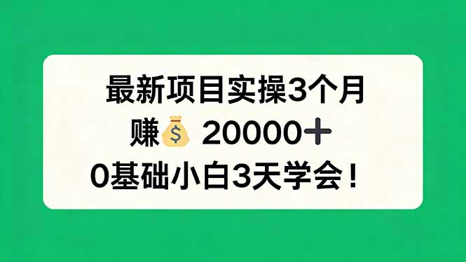 最新项目实操3个月，赚钱20000+，0基础小白3天学会！-柯南聊项目