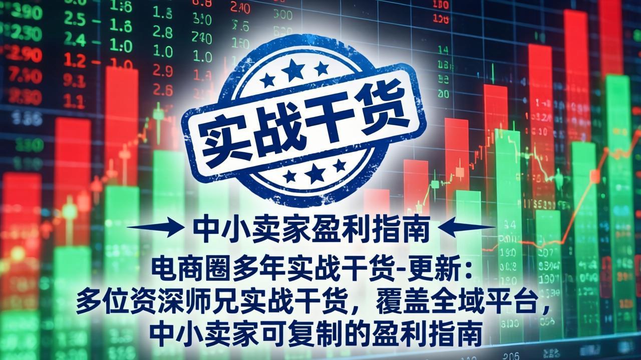 电商圈多年实战干货-更新4月：多位资深师兄实战干货，覆盖全域平台，中小卖家可复制的盈利指南-柯南聊项目