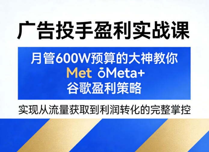 广告投手盈利实战课，月管600W预算的大神教你Meta+谷歌盈利策略，实现从流量获取到利润转化的完整掌控-柯南聊项目