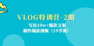 （11520期）VLOG特训营-2期：写出10w+爆款文案，制作爆款视频（19节课）-柯南聊项目
