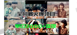 （11546期）全网爆火的AI让老照片动起来教程，蹭热点日赚3000+，内含免费工具一键…-柯南聊项目