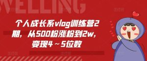 个人成长系vlog训练营2期，从500粉涨粉到2w，变现4～5位数-柯南聊项目