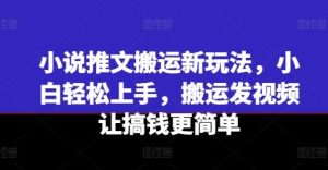 小说推文搬运新玩法，小白轻松上手，搬运发视频让搞钱更简单-柯南聊项目