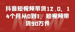 抖音短视频带货12.0，14个月从0到1，短视频带货90万件-柯南聊项目