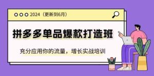 2024拼多多单品爆款打造班，充分应用你的流量，增长实战培训(更新6月)-柯南聊项目