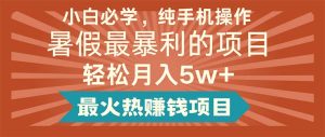 （11583期）小白必学，纯手机操作，暑假最暴利的项目轻松月入5w+最火热赚钱项目-柯南聊项目