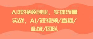 AI短视频创业，实体流量实战，AI/短视频/直播/私域/团队-柯南聊项目