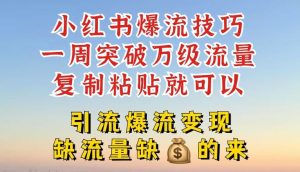 小红书爆流技巧,一周突破万级流量,复制粘贴就可以,引流爆流变现【揭秘】-柯南聊项目