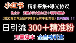 小红薯精准采集＋无限曝光＋真实笔记跳转微信，永不屏蔽（日引300＋精准粉）-柯南聊项目