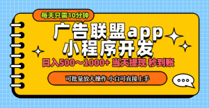 (11645期)小程序开发 广告赚钱 日入500~1000+ 小白轻松上手!-柯南聊项目