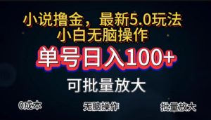（11651期）全自动小说撸金，单号日入100+小白轻松上手，无脑操作-柯南聊项目