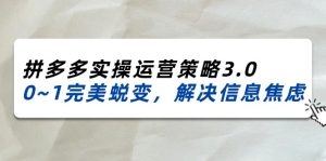 （11658期）2024_2025拼多多实操运营策略3.0，0~1完美蜕变，解决信息焦虑（38节）-柯南聊项目