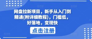 网盘拉新项目，新手从入门到精通(附详细教程)，门槛低，好落地，变现快-柯南聊项目