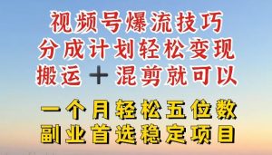 视频号爆流技巧，分成计划轻松变现，搬运 +混剪就可以，一个月轻松五位数稳定项目【揭秘】-柯南聊项目
