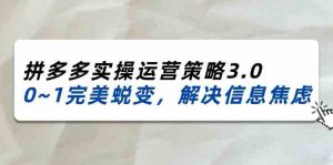 2024-2025拼多多实操运营策略3.0，0~1完美蜕变，解决信息焦虑（38节）-柯南聊项目