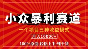 （11695期）视频号【中老年粉深信不疑】小众赛道 100%原创 手把手教学 新号3天收益…-柯南聊项目