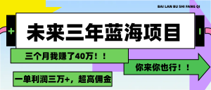 （11716期）未来三年，蓝海赛道，月入3万+-柯南聊项目