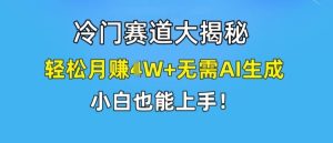 冷门赛道大揭秘，轻松月赚1W+无需AI生成，小白也能上手【揭秘】-柯南聊项目