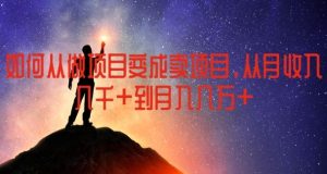如何从做项目变成卖项目，从月收入几千到月入几万【揭秘】-柯南聊项目