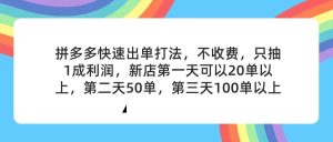 （11681期）拼多多2天起店，只合作不卖课不收费，上架产品无偿对接，只需要你回…-柯南聊项目
