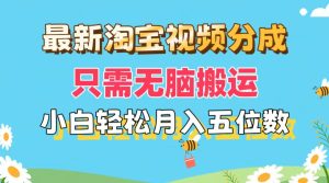 （11744期）最新淘宝视频分成，只需无脑搬运，小白也能轻松月入五位数，可矩阵批量…-柯南聊项目