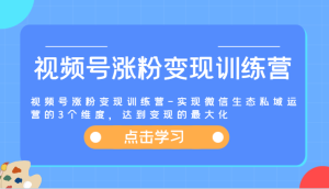 视频号涨粉变现训练营-实现微信生态私域运营的3个维度，达到变现的最大化-柯南聊项目