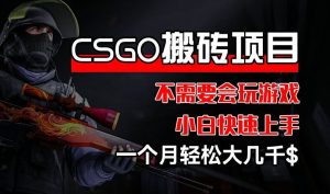 CSGO 装备搬砖项目，操作简单，不需要会玩游戏，小白也能快速上手，一个月轻松大几千【揭秘】-柯南聊项目