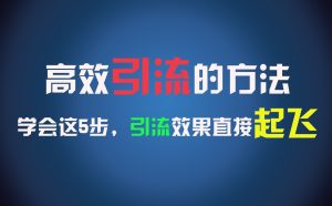 高效引流的方法，可以帮助你日引300+创业粉，一年轻松收入30万，比打工强太多！-柯南聊项目