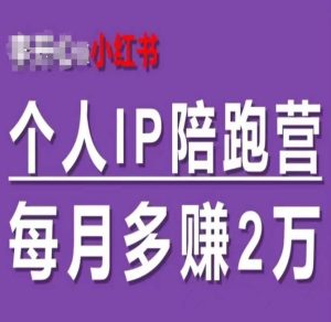 小红书个人IP陪跑营，60天拥有自动转化成交的双渠道个人IP，每月多赚2w-柯南聊项目