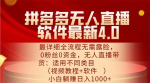（11891期）拼多多无人直播软件最新4.0，最详细全流程无需露脸，0粉丝0资金， 小白…-柯南聊项目